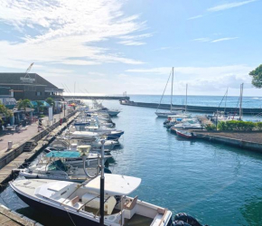 RESIDENCE AU BORD DE L'EAU chambre RIVE DROITE climatisée pour 2 personnes, Saint-Paul